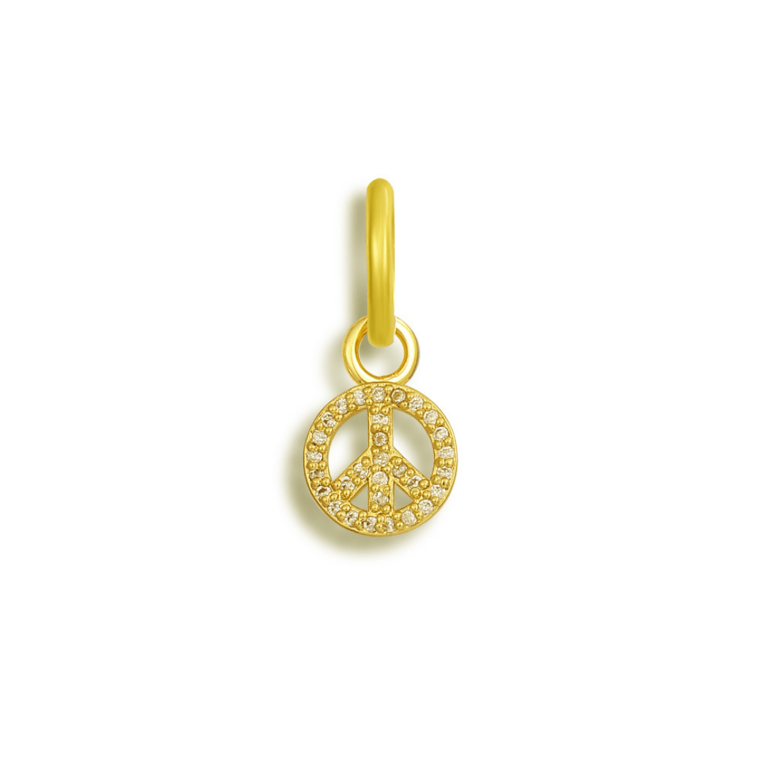 Bikini Charms